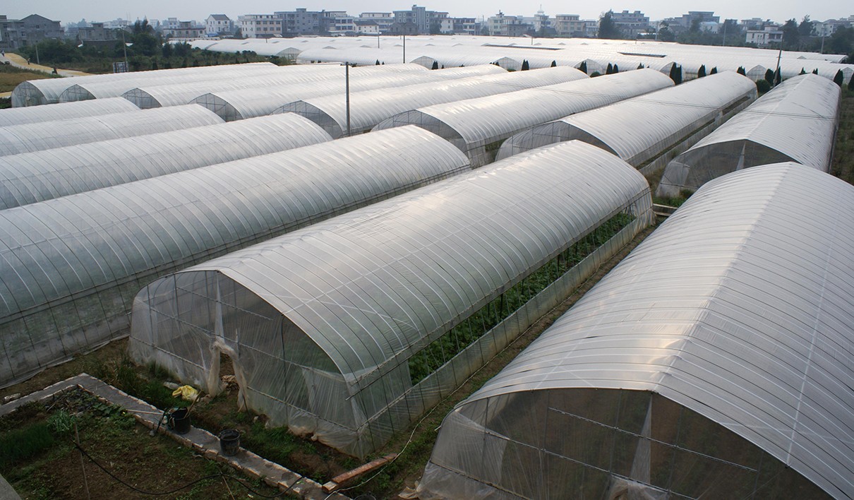 1627787534548035.jpg 1627787534548035.jpg