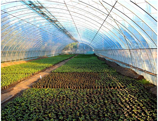 1627787534866316.png 1627787534866316.png